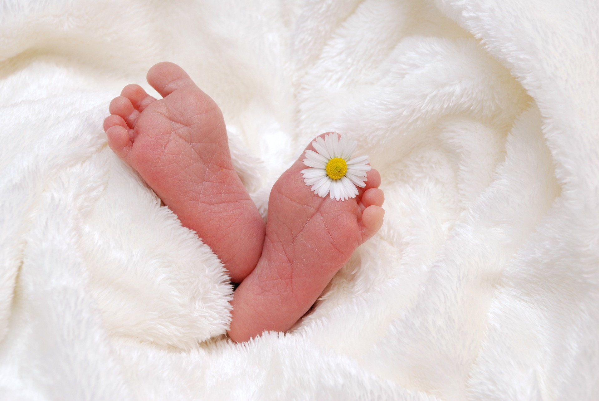 baby-718146_1920.jpg